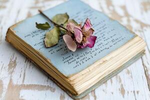 Dried Rose on Antique Book with Aged Pages photo