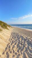 Sandy Beach Path and Dune Under a Clear Blue Sky photo
