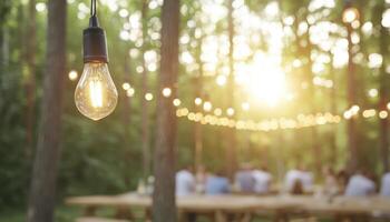 Warm-Lit String Lights at Sunset Outdoor Gathering photo