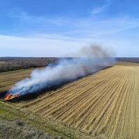 Dramatic aerial view showcasing a controlled agricultural burn in a vast, golden field under a bright blue sky, with plumes of smoke rising gently, illustrating responsible land management and the photo