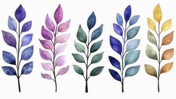 Elegant Watercolor Leaves A Collection of Beautiful Botanical Illustrations Featuring Diverse Color Palettes Explore Delicate Foliage, Perfect for Art Projects, Backgrounds, and Designs Discover the photo