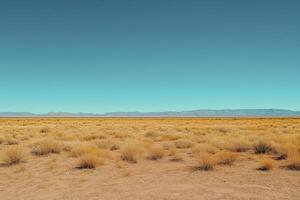 Experience the vast beauty of the desert landscape, showcasing a serene expanse of dry, arid land under a clear, blue sky, perfect for representing freedom, solitude, and the allure of the great photo
