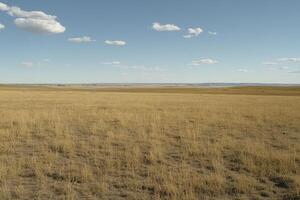 Vast Prairie Landscape A Scenic View of Golden Grasslands Under a Clear Blue Sky with Fluffy White Clouds, Evoking a Sense of Tranquility and Freedom Explore the Beauty of Nature in this Expansive photo