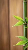 Zen Bamboo A Serene Still Life Capturing the Essence of Nature's Tranquility and Minimalist Beauty, Featuring a Vibrant Green Bamboo Stalk Against a Soft, Blurred Wooden Background, Evoking Feelings photo