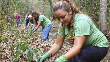 Volunteers working together to clean up a natural area, showcasing community involvement and environmental stewardship, emphasizing collaboration, outdoor activity, and conservation efforts The image photo
