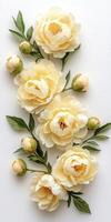 Pastel Yellow Peonies and Green Leaves on White Background photo