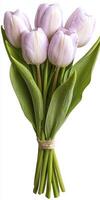 Pale Pink Tulip Bouquet photo