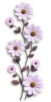 Delicate Lavender Flower Arrangement on White photo