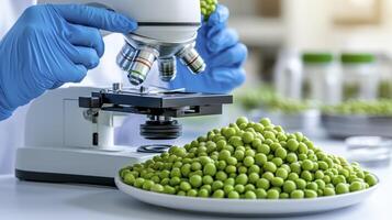 Explore the Microscopic World of Green Peas A Detailed Look at Scientific Analysis and Food Research, Highlighting Nutritional Composition and Agricultural Advancements Discover the Intricate Details photo