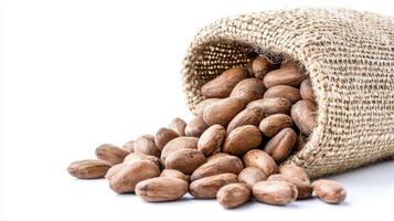 Capture the rich, earthy tones of premium cocoa beans spilling from a rustic burlap sack, a visual invitation to indulge in the world of chocolate explore the textures, colors, and organic beauty of photo