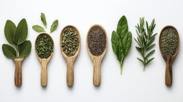 Culinary Delights Exploring the Aromatic World of Fresh Herbs and Spices A Visual Journey Through Nature's Flavorful Bounty, Showcasing Vibrant Greens, Rich Textures, and Exquisite Details of photo