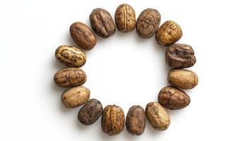 Discover the beauty and benefits of shea nuts with this captivating image showcasing a circular arrangement against a pristine white background, highlighting the natural textures and earthy tones photo