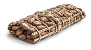 Discover the rich world of cocoa beans A detailed image of a bundle showcasing raw, unprocessed cocoa pods tied with natural twine Explore the textures, colors, and earthy tones of these essential photo