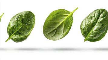 Fresh, vibrant green spinach leaves, captured in a clean and modern studio shot These leaves, arranged in a dynamic composition, showcase their natural beauty and crisp texture Perfect for photo