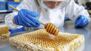 Captivating Close-Up of a Beekeeper Extracting Fresh, Golden Honey from a Pristine Honeycomb, Showcasing the Delicate Process of Harvesting Nature's Sweet Elixir, Highlighting the Beekeeper's photo