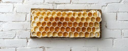 Captivating Honeycomb Display A Close-Up of Nature's Sweet Geometry on a Rustic White Brick Wall Explore the intricate details of this organic hexagonal pattern, showcasing the beauty of natural photo