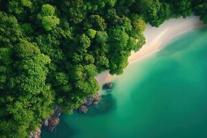 Secluded Tropical Beach And Lush Forest From Above photo