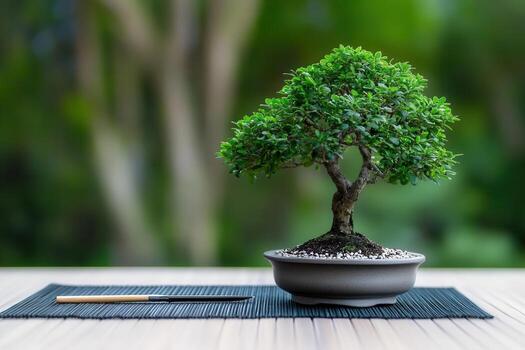 Serene Bonsai Tree A Study in Miniature photo