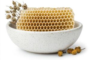 Discover the natural beauty of honeycomb in this exquisite image, showcasing its intricate hexagonal structure and golden hues Explore the wonders of beekeeping and honey production, captured in a photo
