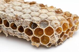 Explore the intricate beauty of honeycomb with this macro shot showcasing its hexagonal cells, glistening honey droplets, and natural beeswax structure Discover the world of bees, beekeeping, and the photo
