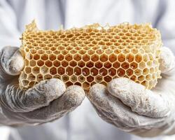 Explore the intricate beauty and scientific wonder of honeycomb structure, meticulously held in gloved hands This captivating image showcases the natural perfection and architectural genius of bees photo