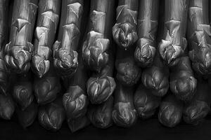 Explore the intricate beauty of asparagus in stunning monochrome A close-up shot revealing the delicate textures and subtle gradients of this delectable vegetable Perfect for food enthusiasts, health photo