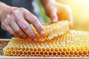 Golden Honeycomb Delight A Captivating Close-Up of Freshly Harvested Honey, Showcasing the Intricate Structure and Natural Sweetness Experience the Richness of Nature's Candy, Captured in Stunning photo