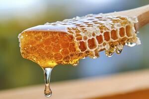 Golden Honeycomb Dripping from a Wooden Spoon A Close-Up Look at Nature's Sweet Elixir, Capturing the Richness and Texture of Fresh Honey, Emphasizing the Natural Beauty of the Beehive's Creation photo
