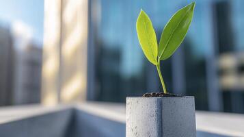 A symbolic representation of corporate environmental, social, and governance ESG reporting intertwines with the essence of nature A vibrant green sprout emerges from a minimalist geometric container photo