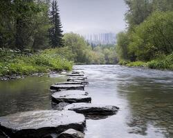 A pristine river meanders through the heart of a verdant boreal forest, its waters reflecting the sky above like a mirror The sunlight filters through the dense canopy, casting dappled shadows on the photo
