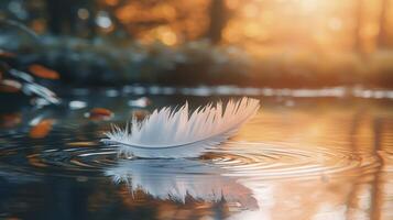 A serene and contemplative scene unfolds as a delicate feather gracefully rests upon the tranquil surface of the water, its presence barely disturbing the stillness Gentle ripples emanate outwards photo