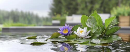 A serene expanse of still water mirrors the surrounding lush greenery, reflecting the soft light of the overcast sky Water lilies, adorned in vibrant hues of white and purple, float gracefully on the photo