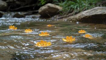 A serene forest stream meanders gently, its clear waters carrying delicate flower petals downstream Sunlight filters through the canopy, dappling the surface with shimmering light Soft ripples dance photo