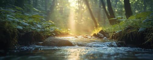 A serene forest scene unveils a gentle stream, bathed in the warm glow of sunlight filtering through a lush canopy of vibrant green leaves The water flows smoothly, reflecting the sky and creating a photo