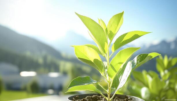 A tenacious young sprout pushes upwards, defying the odds and emerging through the harsh, sunbaked earth, a testament to the unyielding power of nature's regenerative force This tiny beacon of life photo
