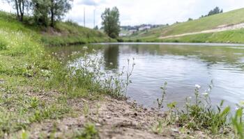 A tranquil river glides serenely, its crystalline waters mirroring the azure sky, a delicate dance of light and reflection Wildflowers, a vibrant tapestry of color, embrace the riverbanks, their photo
