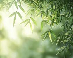 Amidst the serenity, bamboo whispers secrets to the gentle breeze, rustling leaves creating a symphony of tranquility Sunlight filters through the verdant canopy, painting dappled patterns on the photo