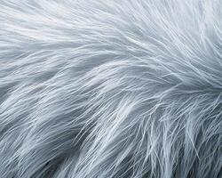 An exquisite close-up unveils the frosted majesty of a polar bear's fur, a testament to nature's artistry Each strand shimmers with delicate ice crystals, intricately patterned by the frigid breath photo