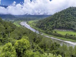 Embark on a mesmerizing journey into the heart of the rainforest, where a pristine river gracefully winds its way through a tapestry of lush greenery, seemingly vanishing into the ethereal embrace of photo