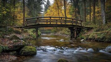 Envision a serene forest scene, where sunlight filters through the canopy, painting dappled patterns on the mossy ground below A gentle stream meanders through the woods, its waters reflecting the photo