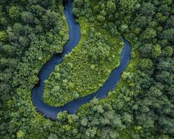 From high above, a meandering stream carves its way through a verdant forest, the waterway snaking gracefully amidst the lush, dense trees The landscape is a tapestry of vibrant greens, the trees photo