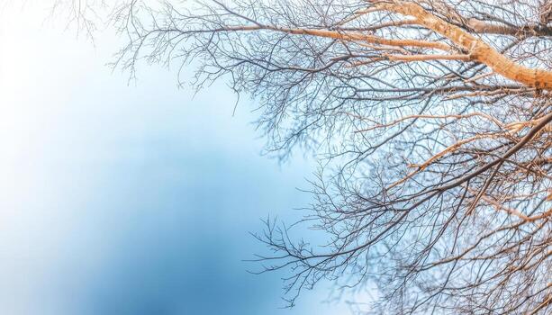 From the heavens, a captivating tableau unfolds, revealing the intricate dance of rivers etching their paths upon the earth, a mesmerizing ballet of nature's artistry Fractal patterns emerge photo