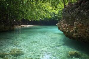 Glistening waters of a secluded forest stream cascade gently over smooth stones, creating a mesmerizing dance of light and shadow Lush green banks, adorned with vibrant vegetation, embrace the photo