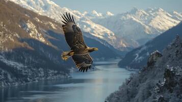 In a breathtaking display of aerial mastery, an eagle glides effortlessly through the vast expanse of the sky Its powerful wings, outstretched and unwavering, catch the gentle currents of the wind photo