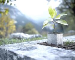 In a desolate landscape, a fragile seedling emerges, a testament to resilience and the enduring power of nature's new beginnings Against the backdrop of dry, dusty terrain, the tender sprout photo