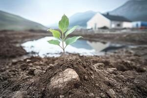 In a desolate landscape, a single, vibrant green shoot emerges, a symbol of hope and resilience The barren earth, once lifeless, now witnesses the tenacity of nature's spirit This small plant photo