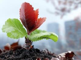 In a desolate landscape, a tender seedling emerges, pushing its way through the harsh soil Bathed in a warm, golden light, it stands as a symbol of resilience and determination The vibrant hues of photo