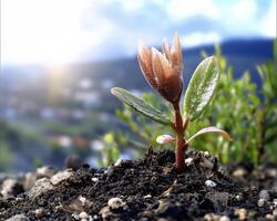 In a landscape of desolation, a fragile sprout pushes through the parched earth, a beacon of hope amidst the barren expanse Bathed in the gentle caress of soft sunlight, its tender leaves unfurl photo