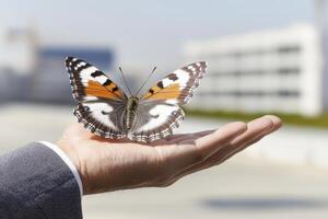 In a moment of sheer serenity, a delicate butterfly alights gracefully upon the outstretched hand, its wings a kaleidoscope of colors, fluttering gently as if whispering secrets to the breeze The photo