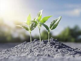 In a parched and desolate landscape, a tiny seedling emerges, its tender leaves reaching towards the sky This fragile sprout symbolizes resilience, hope, and the unwavering power of nature to photo